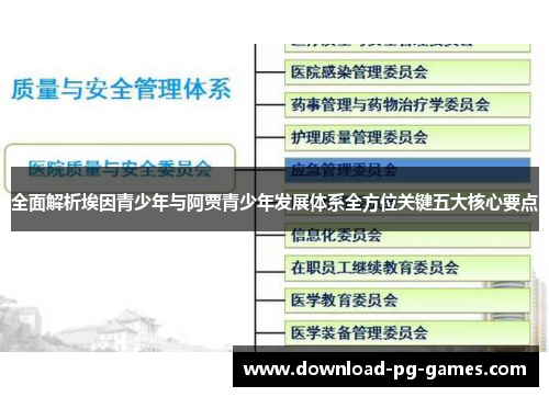 全面解析埃因青少年与阿贾青少年发展体系全方位关键五大核心要点